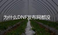 为什么DNF发布网都没有耳环（dnf耳环没有徽章吗）