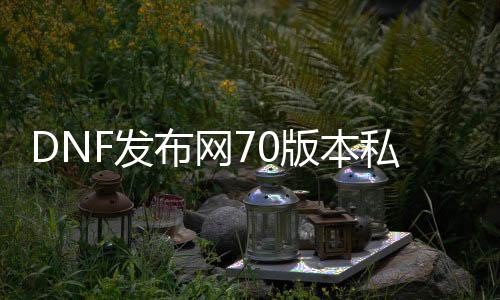 DNF发布网70版本私服合时装（DNF发布网70版本装备一览表）