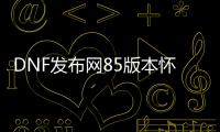 DNF发布网85版本怀旧私服（DNF发布网86版本怀旧服下载）