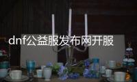 dnf公益服发布网开服一条龙（dnf100公益服发布网）