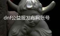 dnf公益服发布网账号申请流程详解，dnf公益服发布网账号申请条件