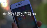 dnf公益服发布网baidu（探索DNF公益服发布网的最新消息）