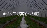 dnf人气最高的公益服发布网最新（推荐最新人气最高的DNF公益服发布网）