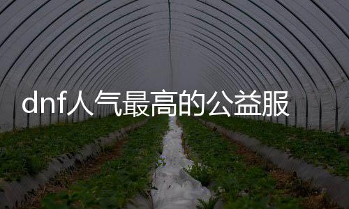 dnf人气最高的公益服发布网最新（推荐最新人气最高的DNF公益服发布网）